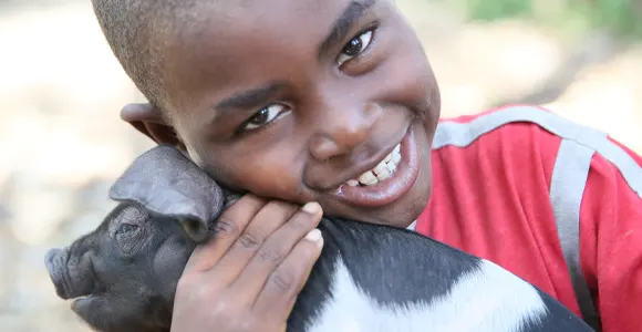Haiti, pig donation recipient