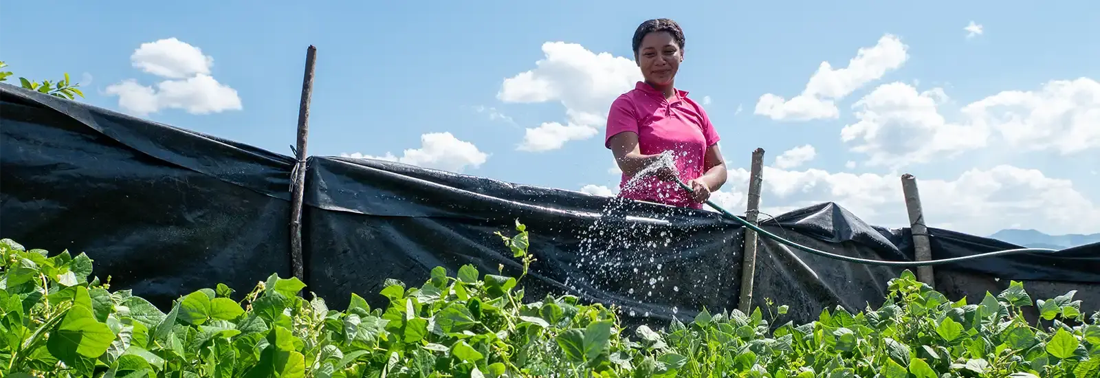 A Family Garden Starter Kit