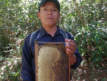 beehive donation recipient, micro-entreprise program trainee