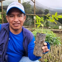 From seedling to harvest: Blackberry farming in Colombia