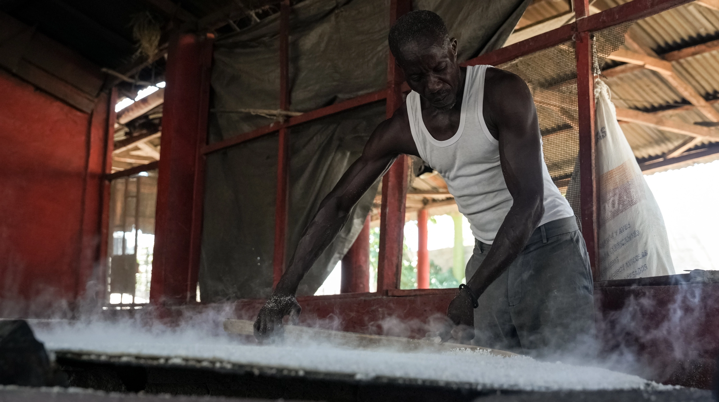 supporting 600 small farmers across six northern Haitian communities