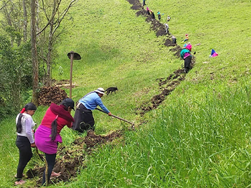 Micro Enterprise in Ecuador