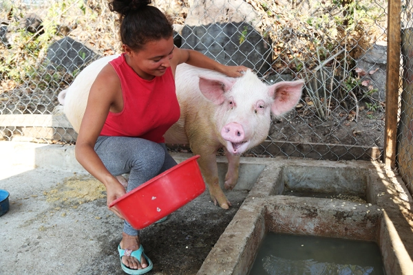 Family preparing safe shelter and space for livestock