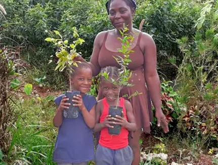 Fruit Tree Planting Jamaica