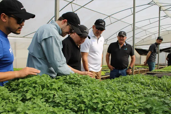 Learning Together in the Field