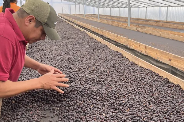 Strengthening Communities Through Shared Knowledge