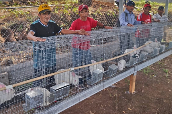 Practical Skills That Grow Food