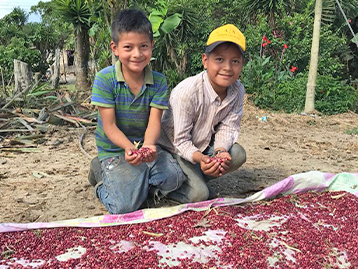 Micro-Enterprise in Honduras