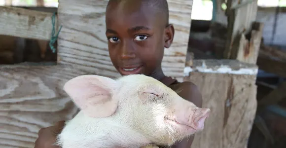 Pig Donation Recipient Family,Jamaica, 2015