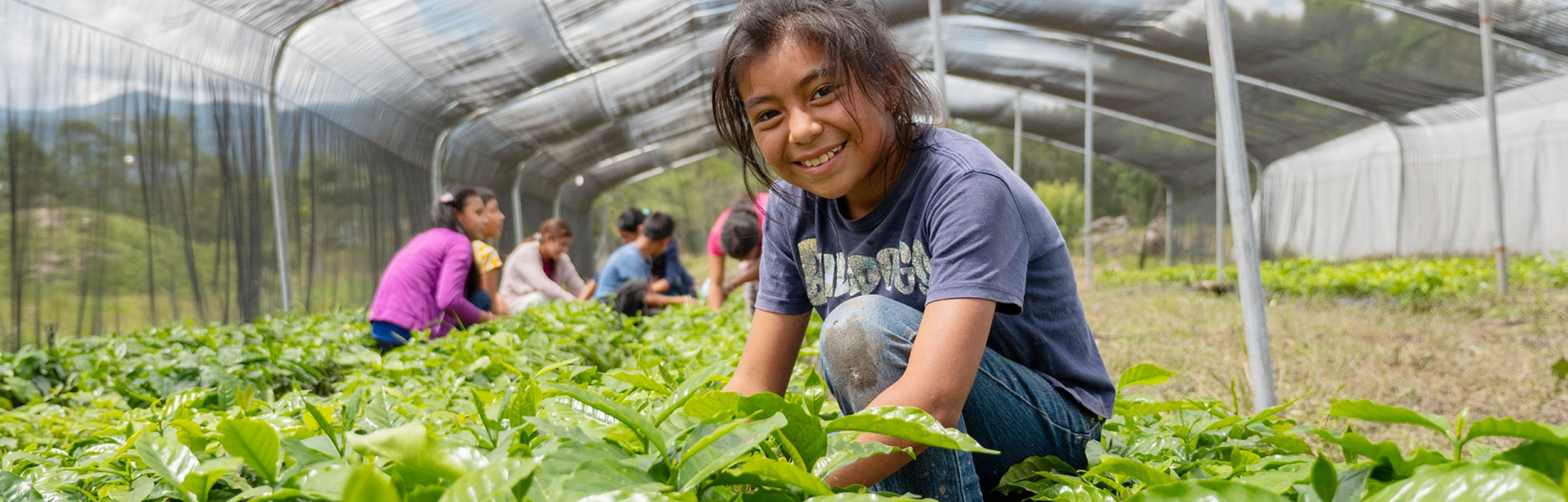  Help Farmers Thrive