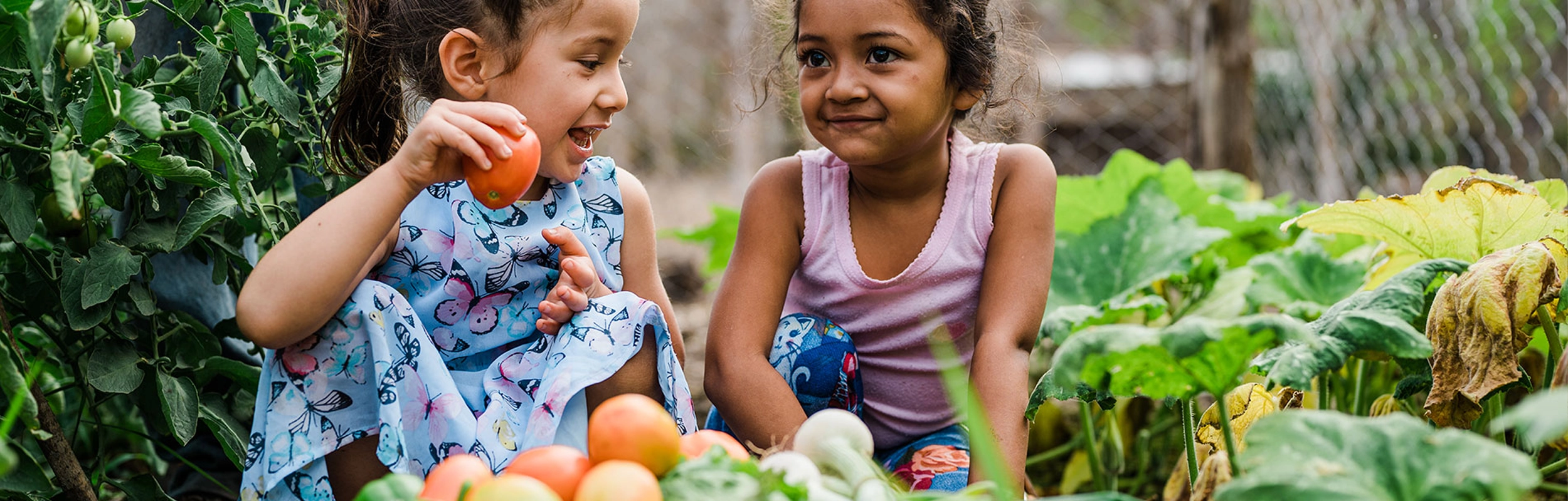 Help Families Grow Their Own Food