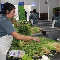 Processing Facility in El Salvador