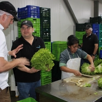 Food Distribution