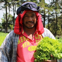 Seeds to Market Initiative El Salvador