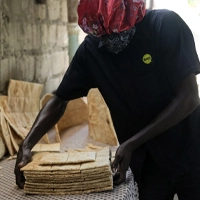 Slicing Cassava Bread for Delivery to Schools