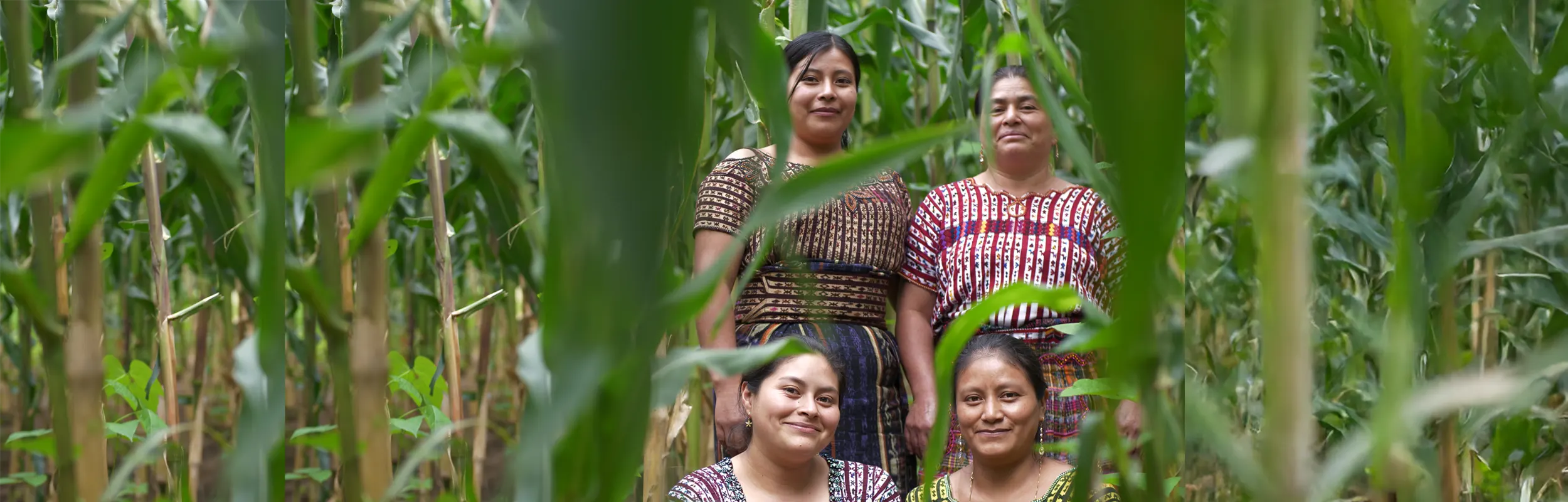 Communities become more resilient