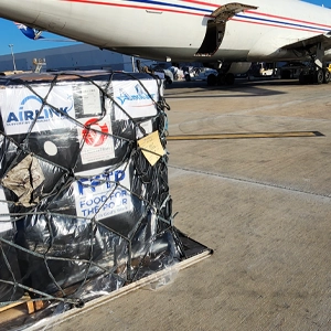 Airlifting Critical Medical Supplies