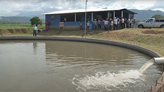 Food For The Poor Honduras Tilapia Project