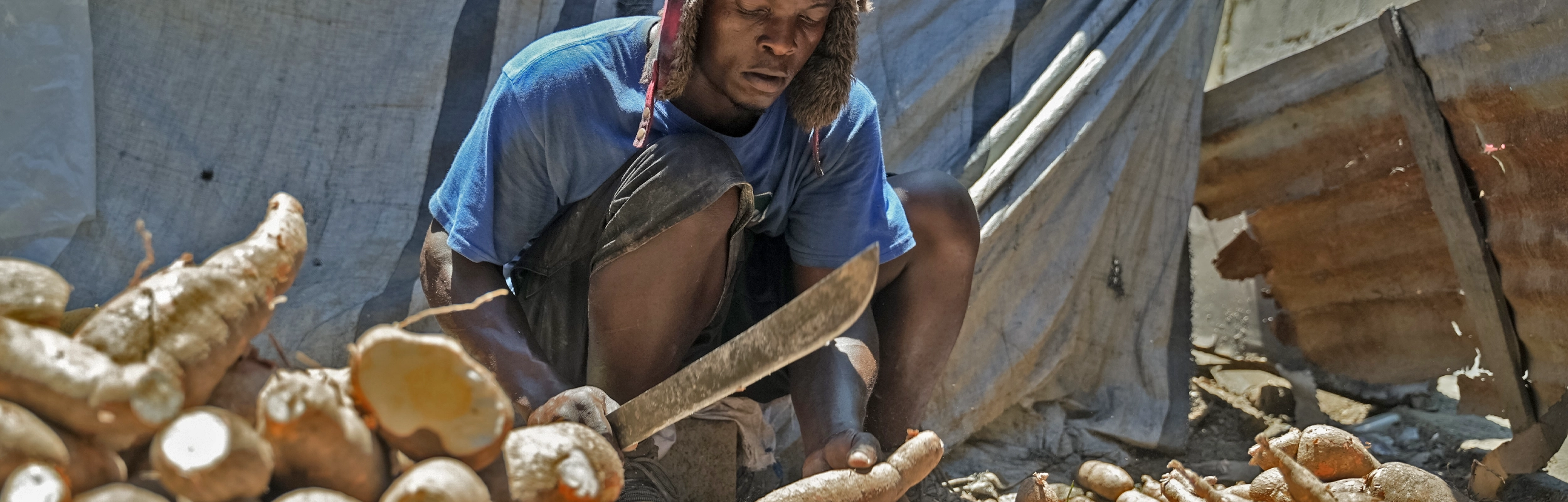 While Supporting 600 Haitian Farmers & the Local Economy
