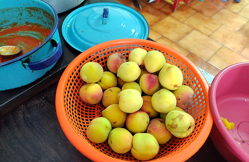 A blue bowl filled with bright yellow fruit.