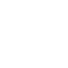 Platinum Transparency 2026 Candid
