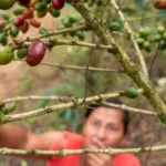How Cultural Heritage Helps Families Escape Poverty in Latin America