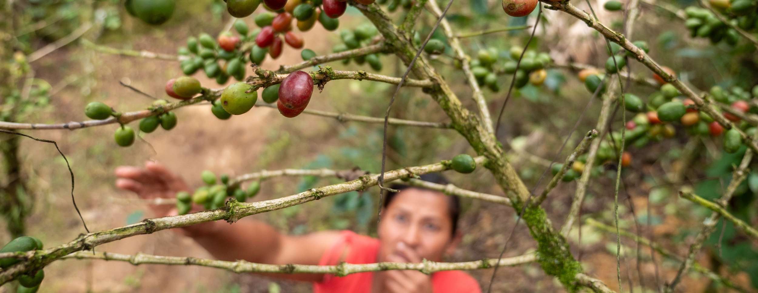 How Cultural Heritage Helps Families Escape Poverty in Latin America