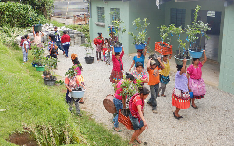 A group of people carrying buckets filled with various plants, working together outdoors.