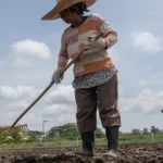 Fighting Hunger With Indigenous Agricultural Knowledge