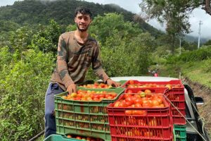 A Farmer Field School Program