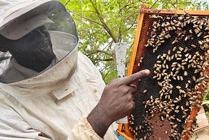 Sustainable Beekeeping in Haiti