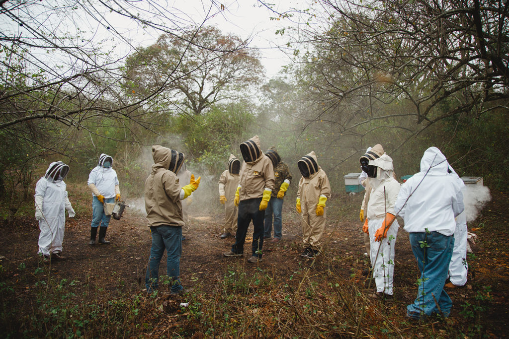 Beekeepers in Honduras receive training.
