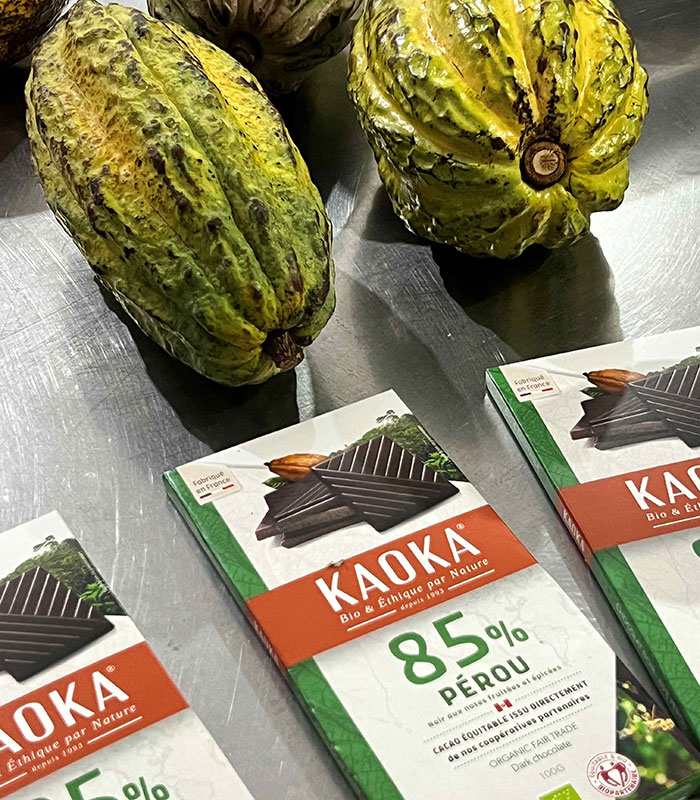 Bars of chocolate from Kaoka next to cocoa beans