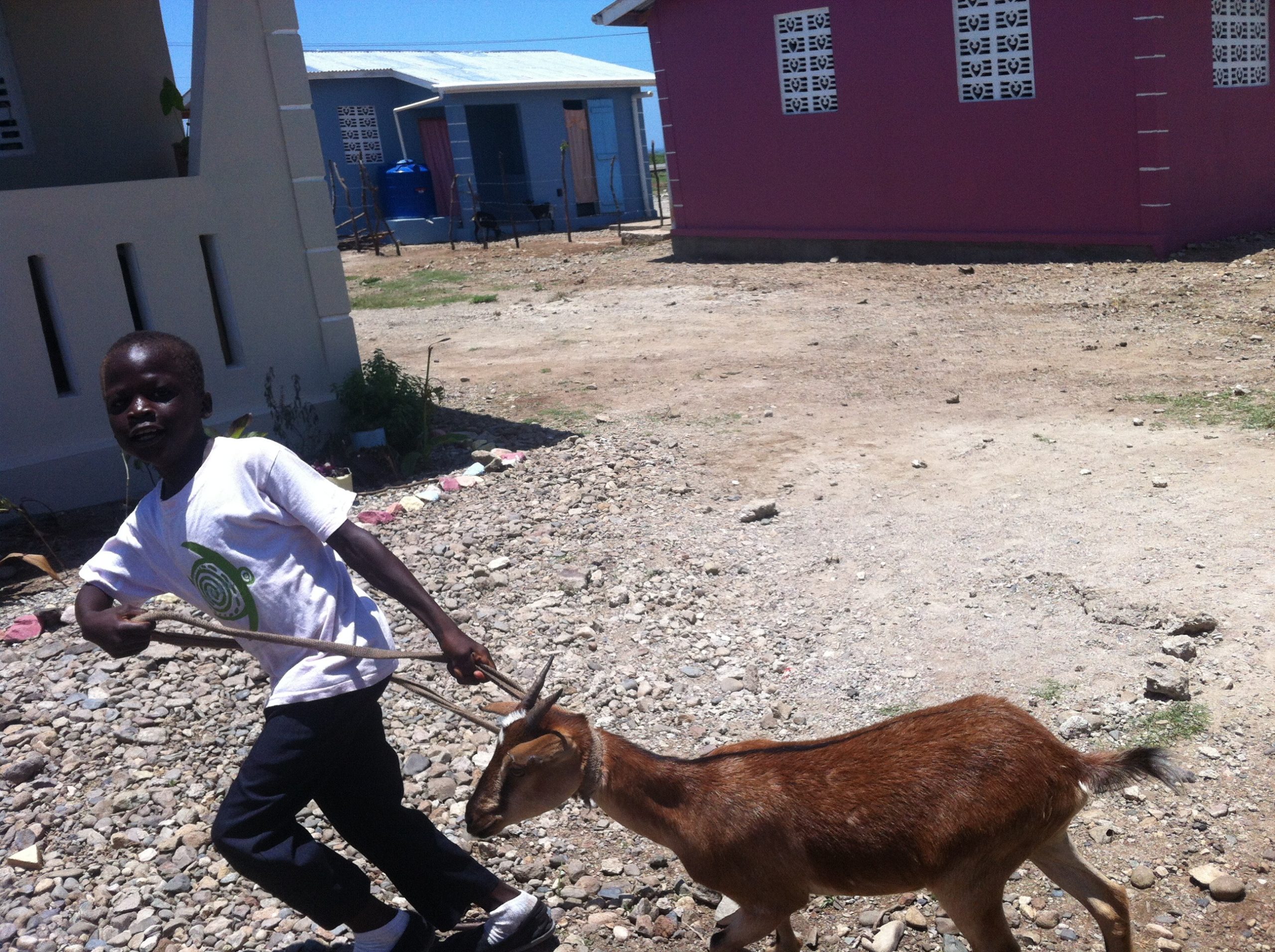 Tales from Haiti: A boy and his stubborn goat