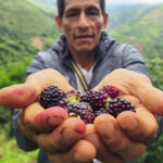 How Agriculture Unlocks Food Security for Families in Latin America and the Caribbean