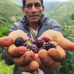 Creating Lasting Hope: How FFTP Helps Families Build Stable Lives at Home