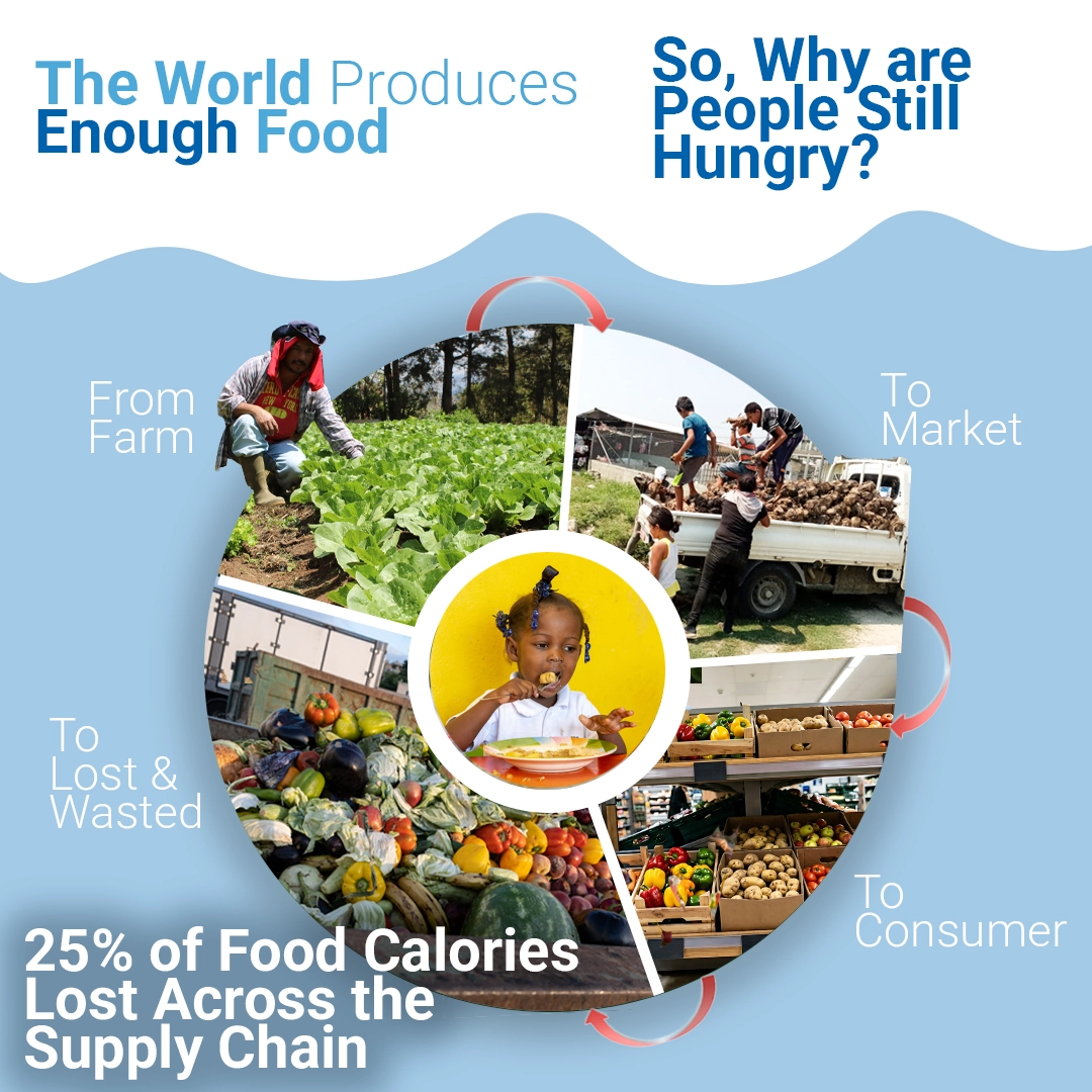 Food Waste and Distribution