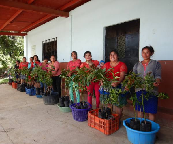 women from an integrated community transformation program stand in a line with potted plants