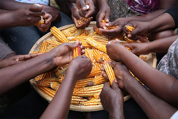 Strengthening Communities Through Shared Knowledge