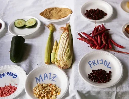 Practical Skills That Grow Food