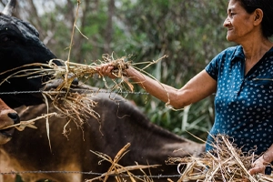 A Family Livestock Starter Kit