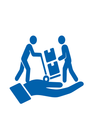 Collection & Processing