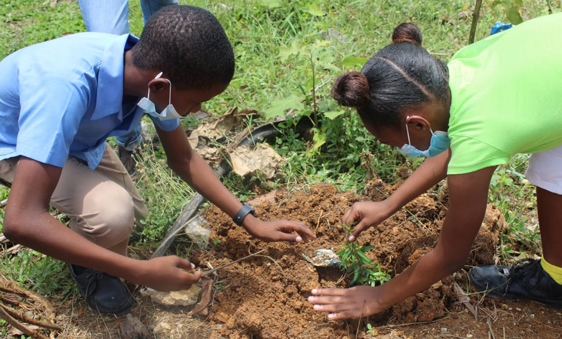 A boy and a girl in Jamaica plant fruit trees.