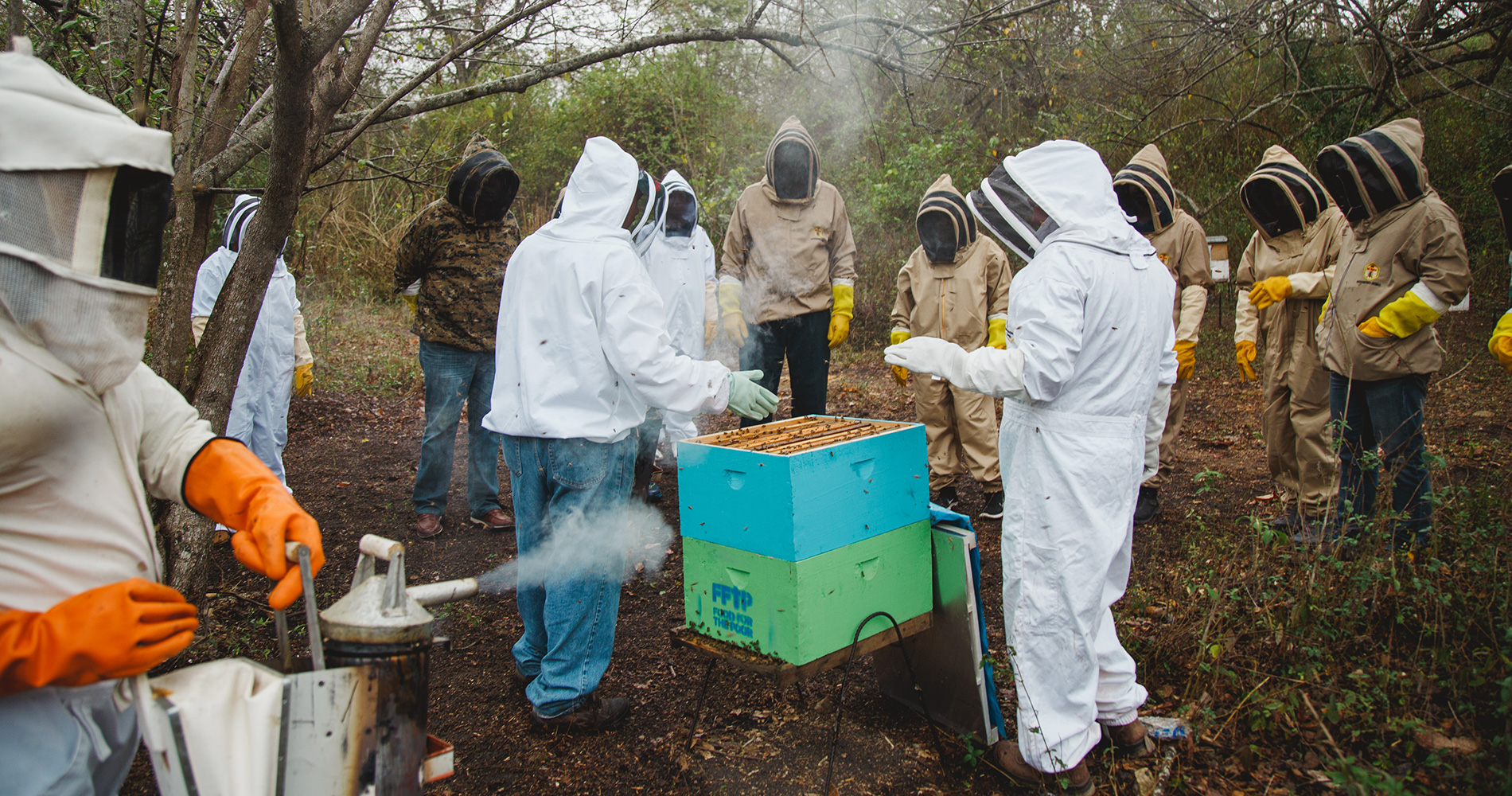 Beekeepers tend to hives in Honduras.