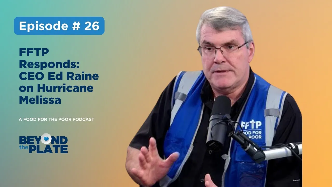 Beyond the plate EP 19