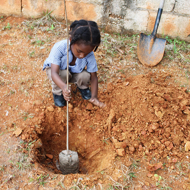 A child in Jamaica digs a hole with a shovel.