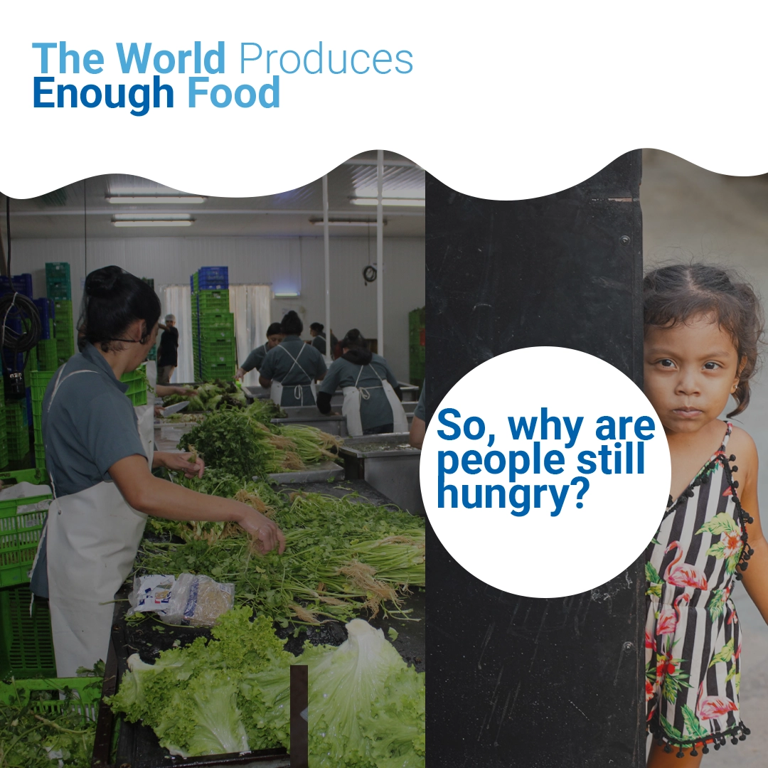 why People Hungry